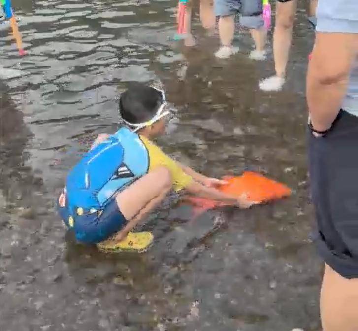 温高不少的, 得锦鲤是好 温高不少的, 得锦鲤是好