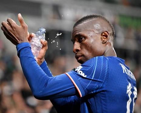 塞内加尔媒, 在塞内加尔